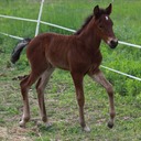 2016-05-06 at 15-46-31